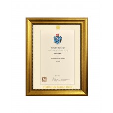 Gold Certificate Frame